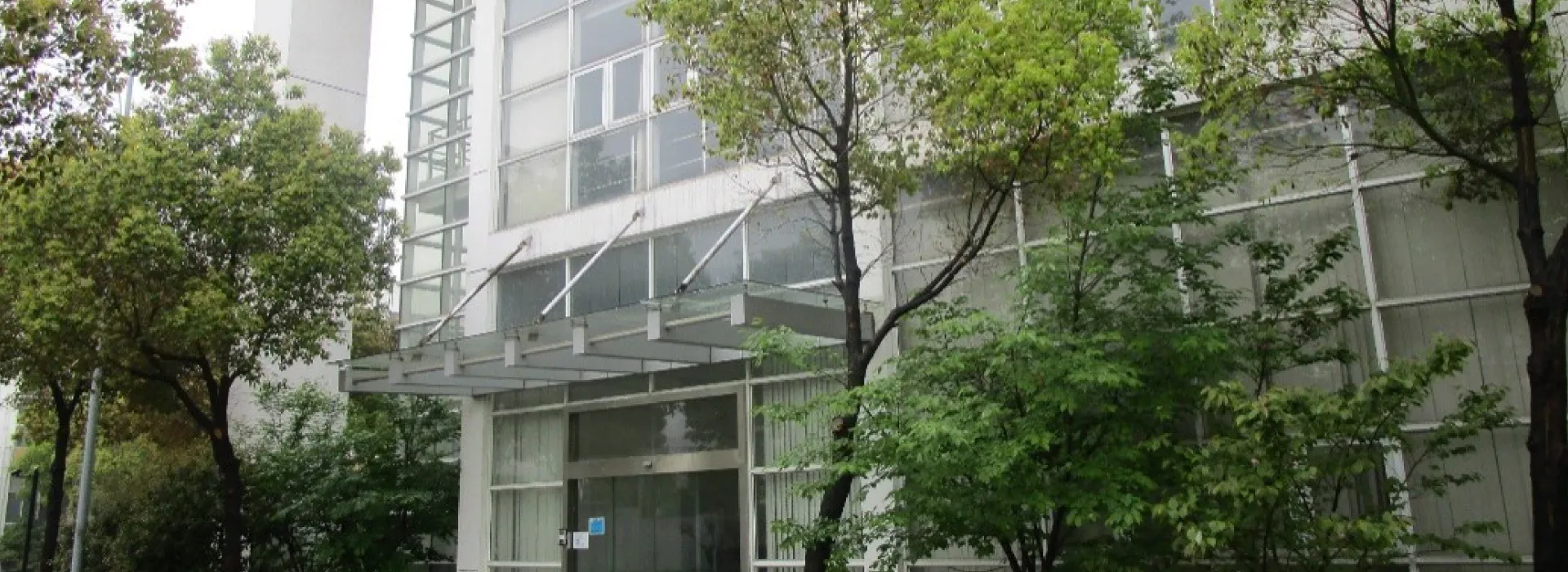 海外展開